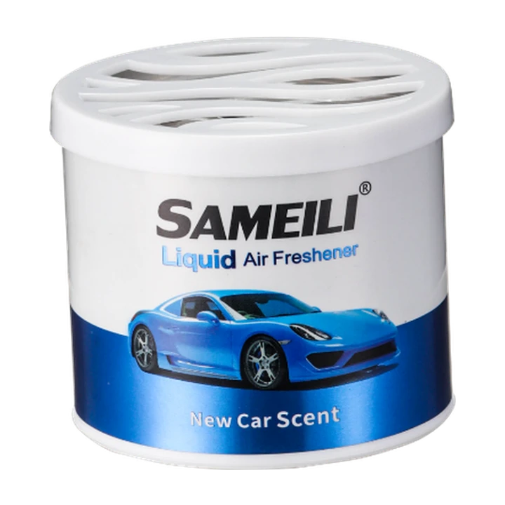 SAMEILI SA-06 New Car