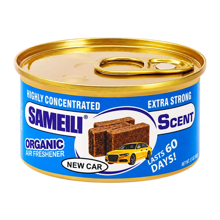 SAMEILI SA-13 New Car